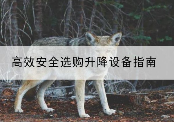 禹会升降货梯厂家推荐-*安全选购升降设备指南