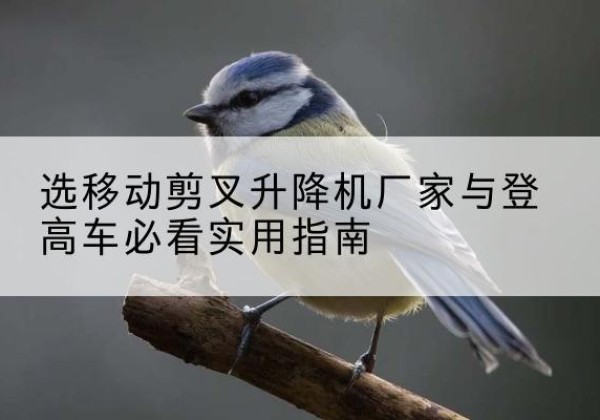 禹会电动升降机厂家-选移动剪叉升降机厂家与登高车必看实用指南
