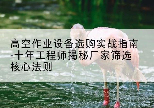 禹会剪叉式升降机厂家-高空作业设备选购实战指南-十年工程师揭秘厂家筛选核心法则